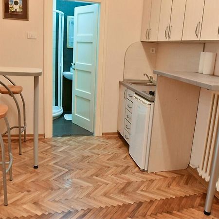 Bojan Central Apartment ノヴィ・サド エクステリア 写真