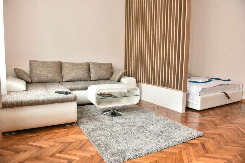 Bojan Central Apartment ノヴィ・サド エクステリア 写真